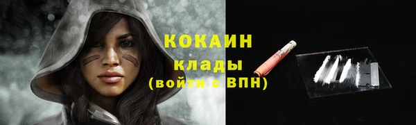 мяу мяу мука Аркадак